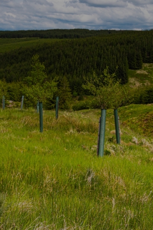 Tech for nature: the power of nature positive solutions