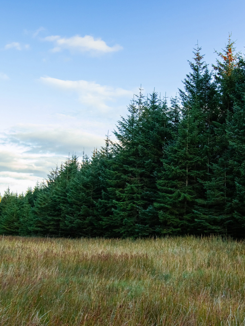 Foresight receives top PRI scores