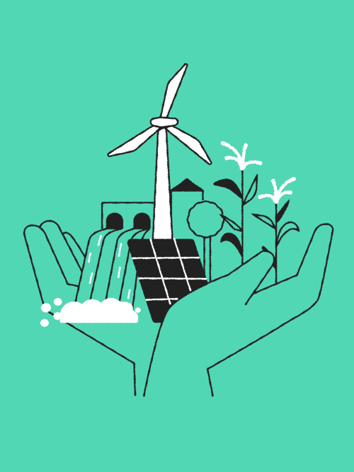 Reflecting on COP30: Nature, renewables, and the gaps that still remain