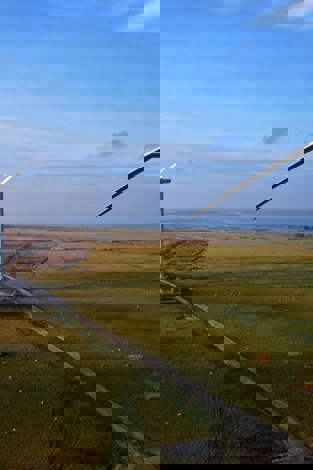 Foresight signs joint statement to safeguard the EU’s sustainable finance framework