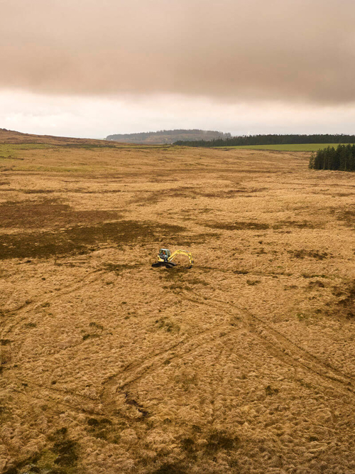 Foresight gets Peatland ACTION grant to