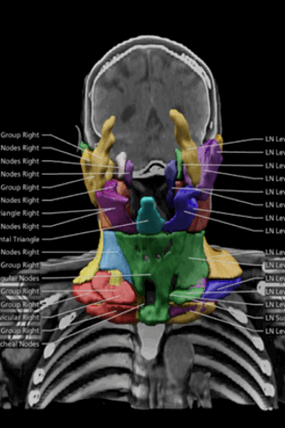 AI-augmented health care in the (dis)information age