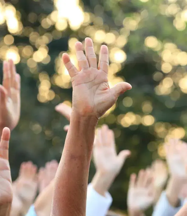 Wind turbines at sunset