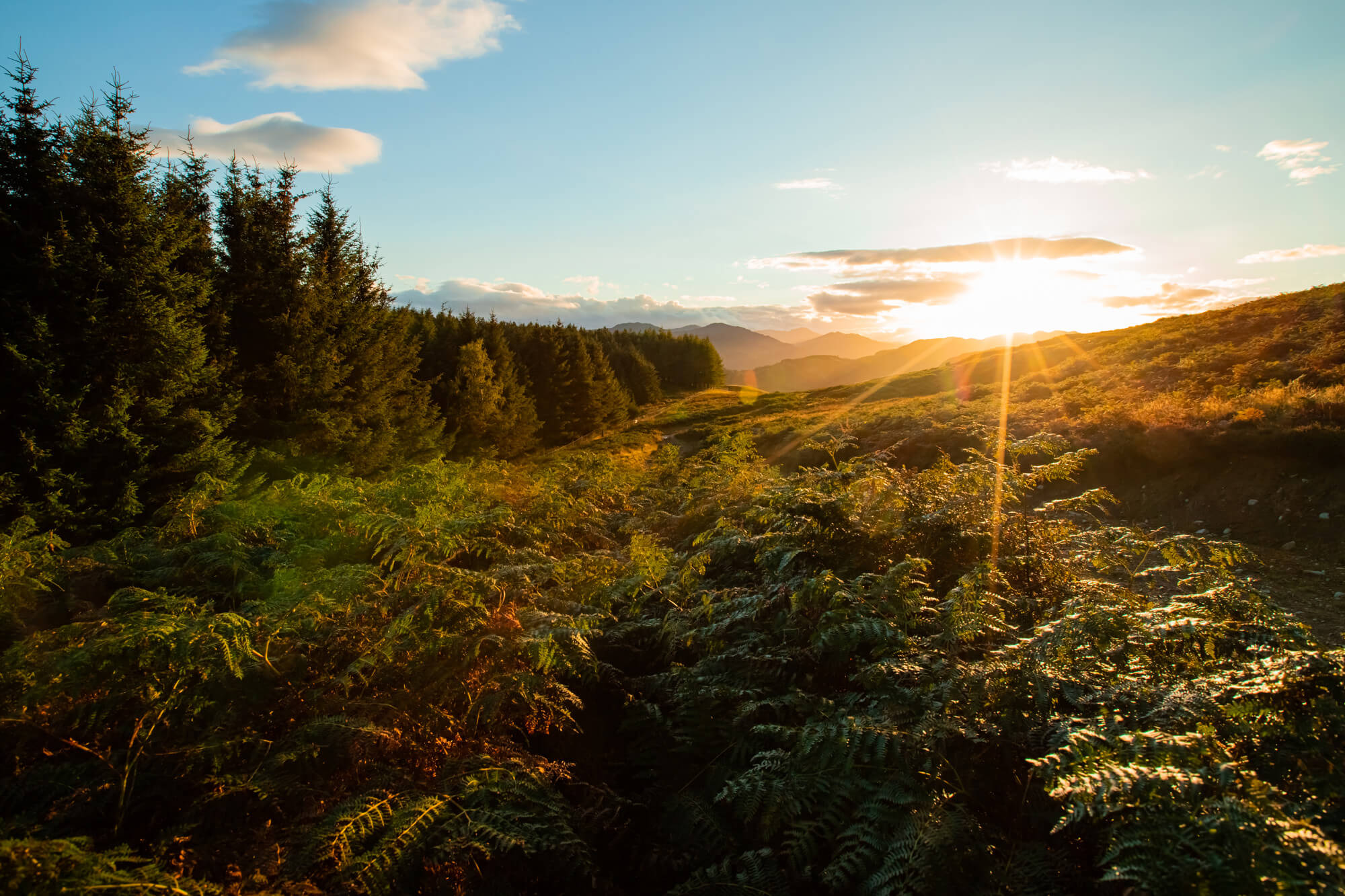 Wind turbines at sunset