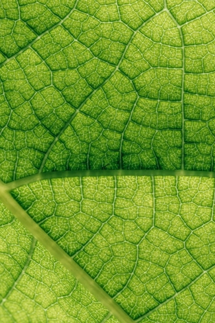 Foresight adds over £800m to Group AUM