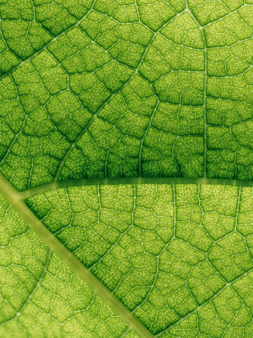 Foresight adds over £800m to Group