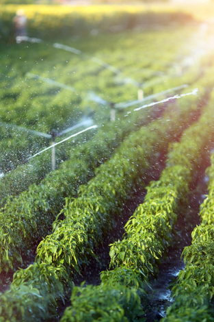 FP WHEB Sustainability Impact Fund Q3 2025 webinar